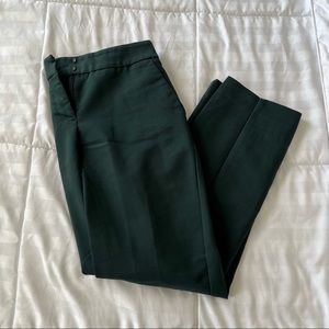 Express Dress Pant